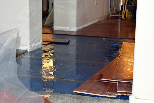 Professional Water Damage Repair technician working in Adamsville, OH